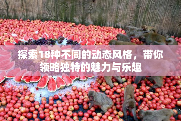 探索18种不同的动态风格，带你领略独特的魅力与乐趣