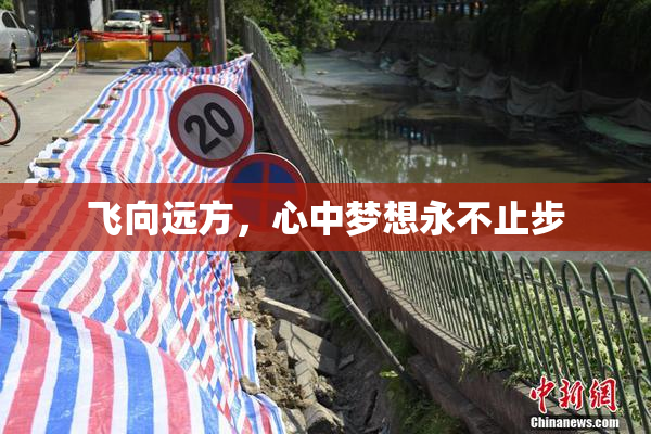 飞向远方，心中梦想永不止步