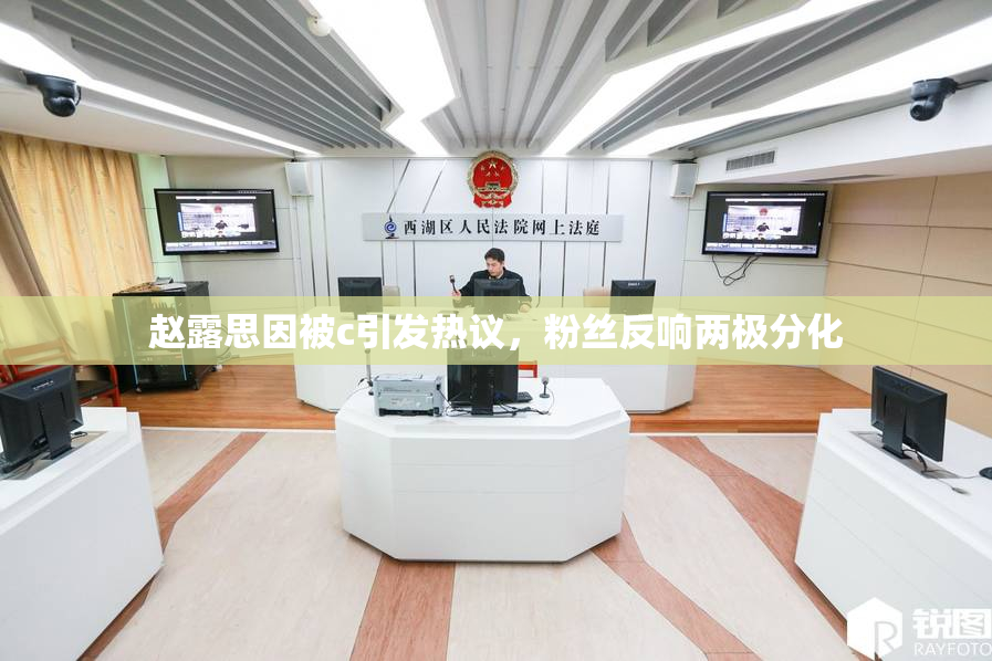 赵露思因被c引发热议，粉丝反响两极分化