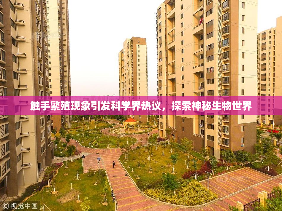 触手繁殖现象引发科学界热议，探索神秘生物世界