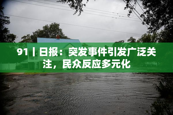 91丨日报：突发事件引发广泛关注，民众反应多元化