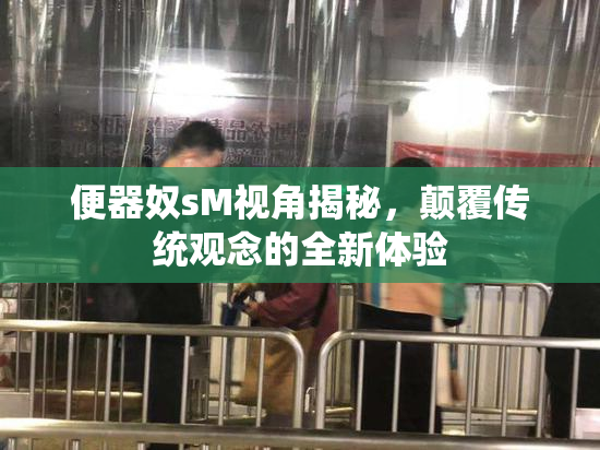 便器奴sM视角揭秘，颠覆传统观念的全新体验