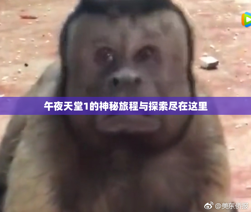 午夜天堂1的神秘旅程与探索尽在这里