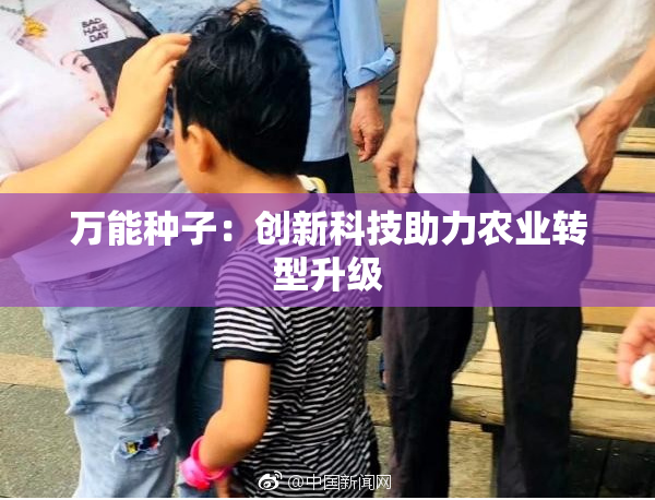 万能种子：创新科技助力农业转型升级