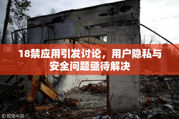 18禁应用引发讨论，用户隐私与安全问题亟待解决