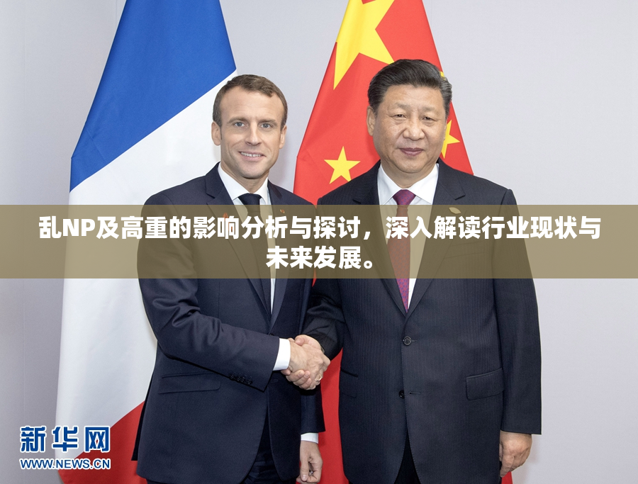乱NP及高重的影响分析与探讨，深入解读行业现状与未来发展。