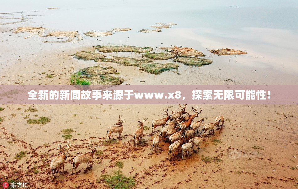 全新的新闻故事来源于www.x8，探索无限可能性！