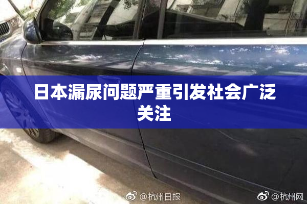 日本漏尿问题严重引发社会广泛关注