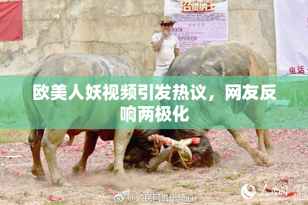 欧美人妖视频引发热议，网友反响两极化