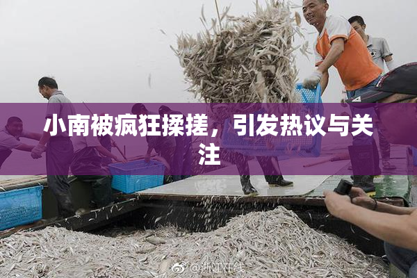 小南被疯狂揉搓，引发热议与关注