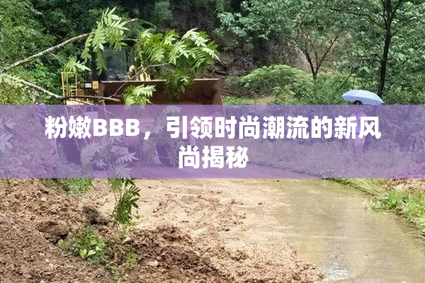 粉嫩BBB，引领时尚潮流的新风尚揭秘