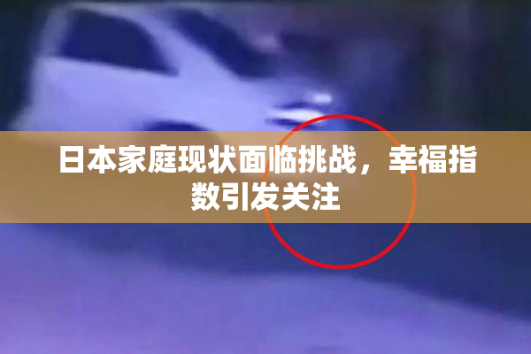 日本家庭现状面临挑战，幸福指数引发关注