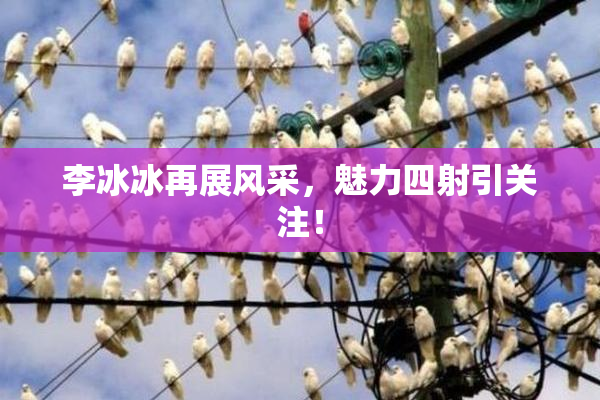 李冰冰再展风采，魅力四射引关注！
