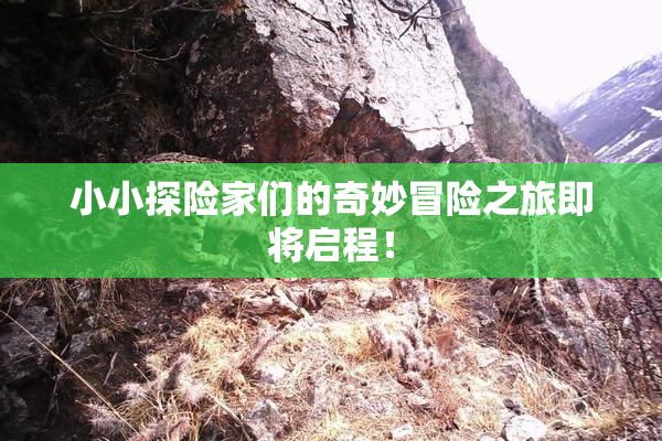 小小探险家们的奇妙冒险之旅即将启程！
