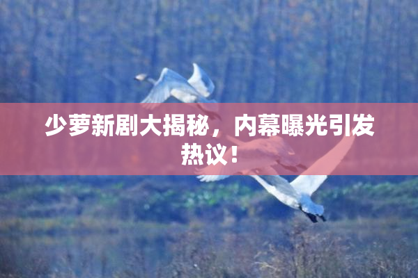 少萝新剧大揭秘，内幕曝光引发热议！