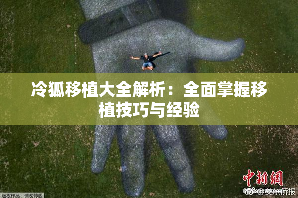 冷狐移植大全解析：全面掌握移植技巧与经验