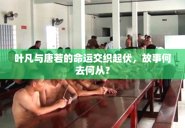 叶凡与唐若的命运交织起伏，故事何去何从？