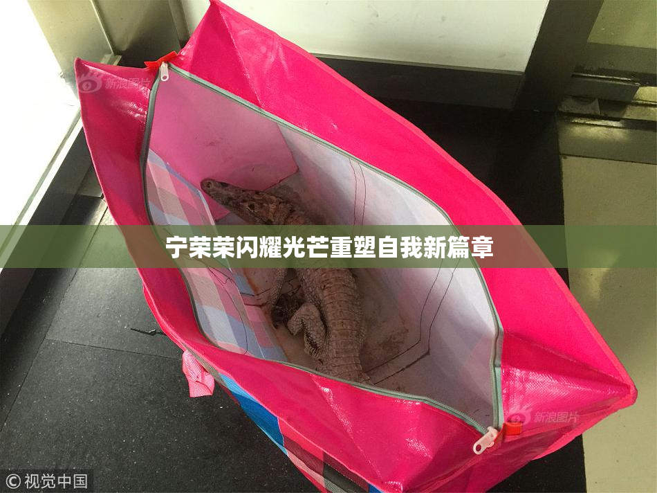 宁荣荣闪耀光芒重塑自我新篇章