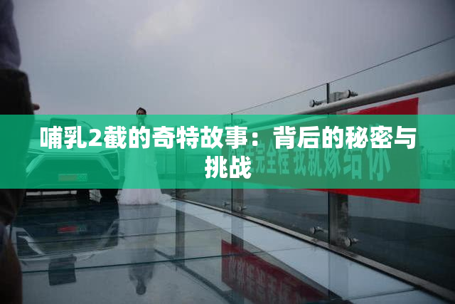 哺乳2截的奇特故事：背后的秘密与挑战