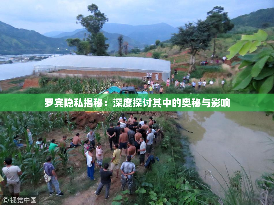 罗宾隐私揭秘：深度探讨其中的奥秘与影响