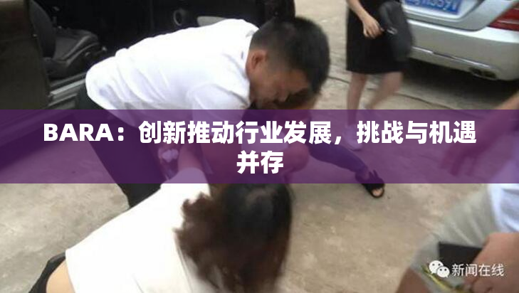 BARA：创新推动行业发展，挑战与机遇并存