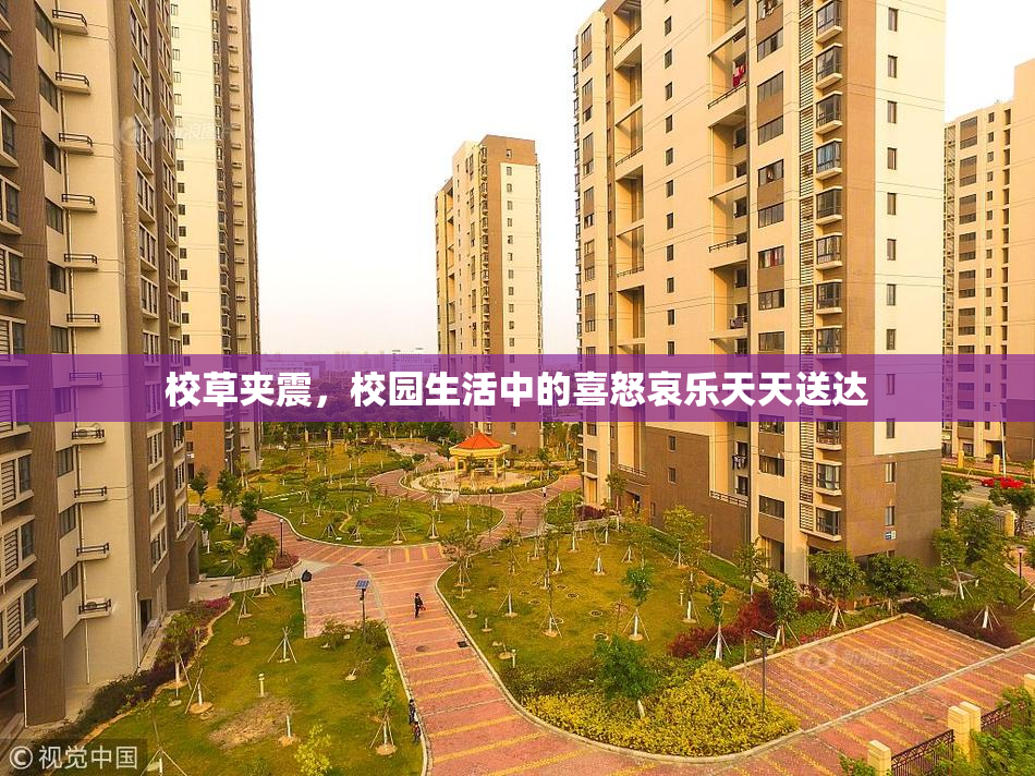校草夹震，校园生活中的喜怒哀乐天天送达