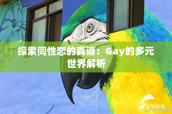 探索同性恋的真谛：Gay的多元世界解析