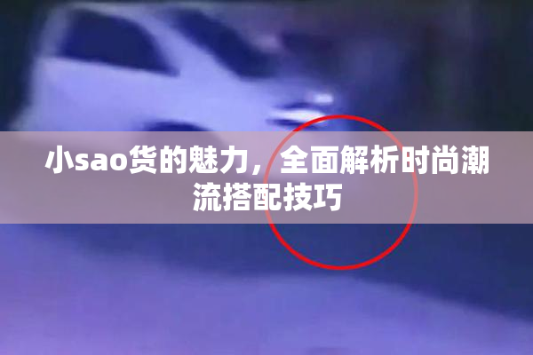 小sao货的魅力，全面解析时尚潮流搭配技巧