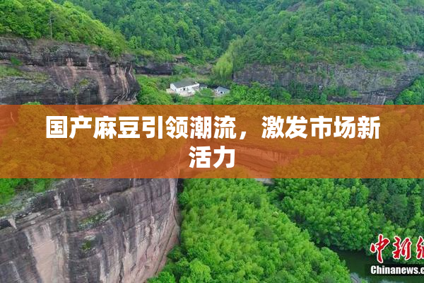 国产麻豆引领潮流，激发市场新活力