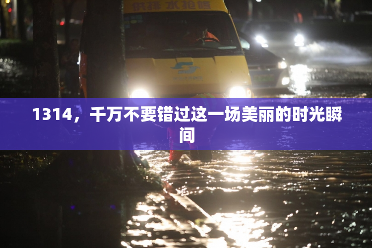 1314，千万不要错过这一场美丽的时光瞬间