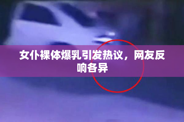 女仆裸体爆乳引发热议，网友反响各异