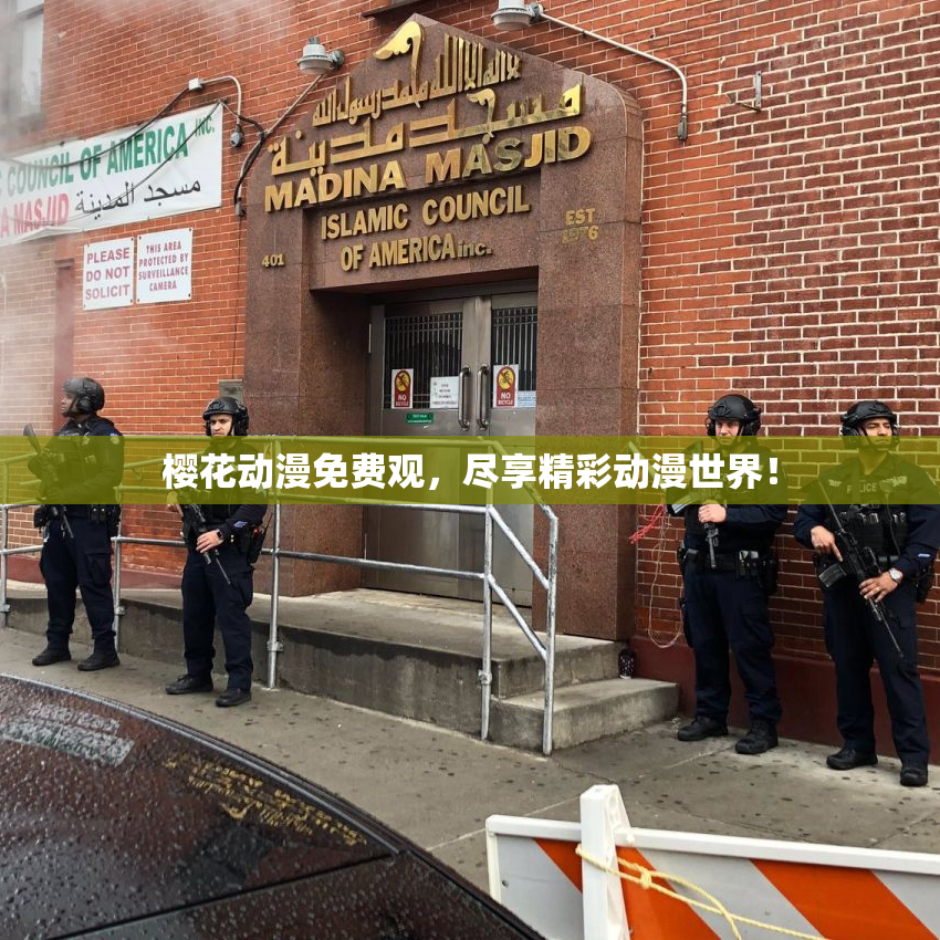樱花动漫免费观，尽享精彩动漫世界！