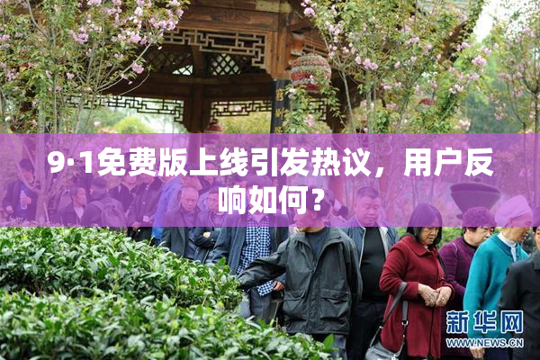 9·1免费版上线引发热议，用户反响如何？