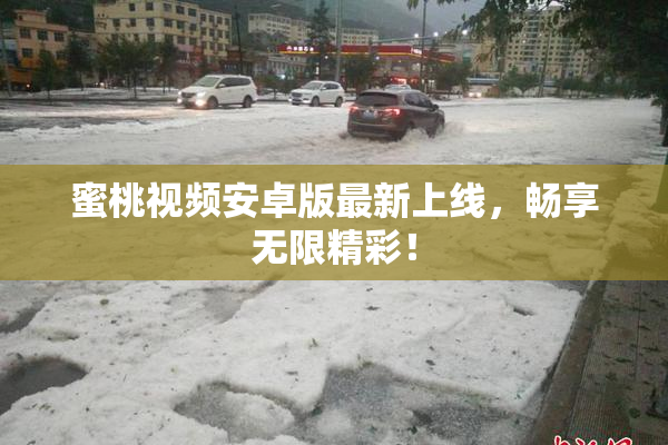 蜜桃视频安卓版最新上线，畅享无限精彩！