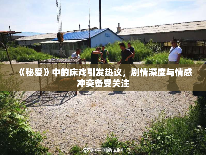 《秘爱》中的床戏引发热议，剧情深度与情感冲突备受关注