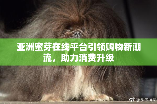 亚洲蜜芽在线平台引领购物新潮流，助力消费升级