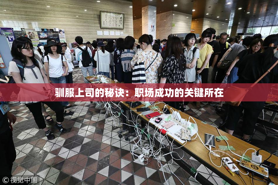 驯服上司的秘诀：职场成功的关键所在