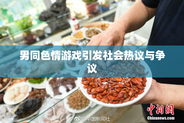男同色情游戏引发社会热议与争议