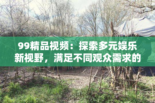 99精品视频：探索多元娱乐新视野，满足不同观众需求的独特平台