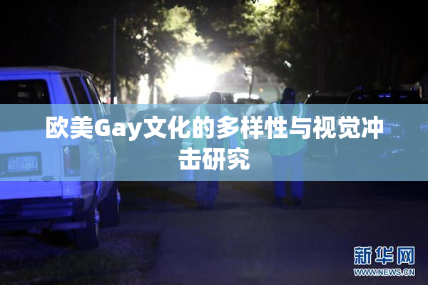 欧美Gay文化的多样性与视觉冲击研究