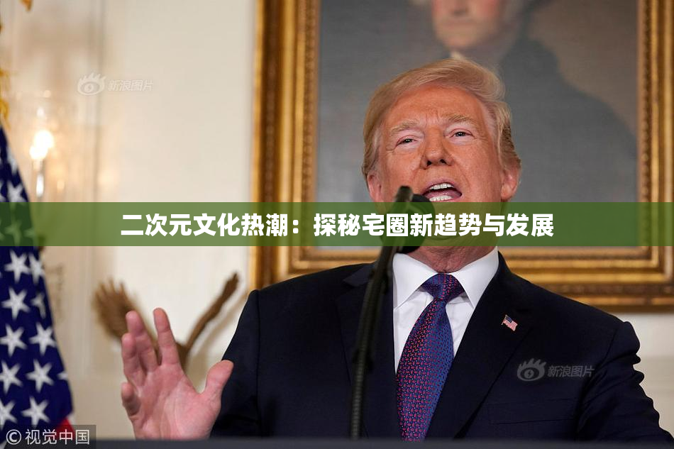 二次元文化热潮：探秘宅圈新趋势与发展