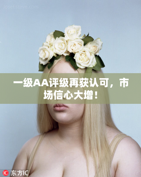 一级AA评级再获认可，市场信心大增！