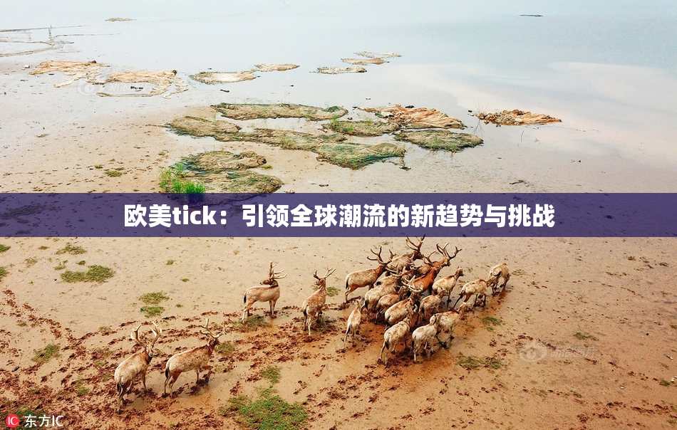 欧美tick：引领全球潮流的新趋势与挑战