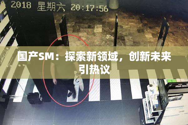 国产SM：探索新领域，创新未来引热议
