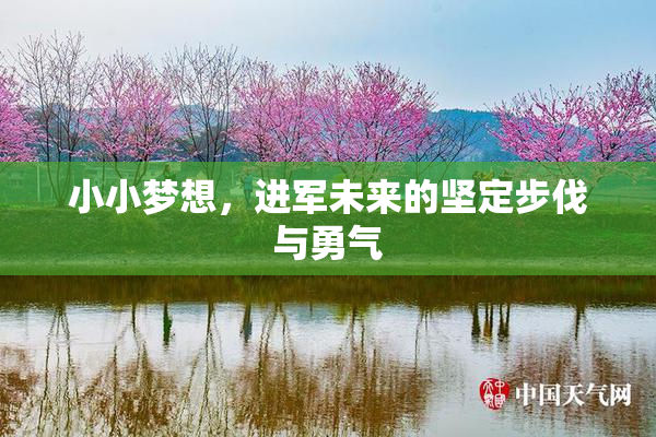 小小梦想，进军未来的坚定步伐与勇气