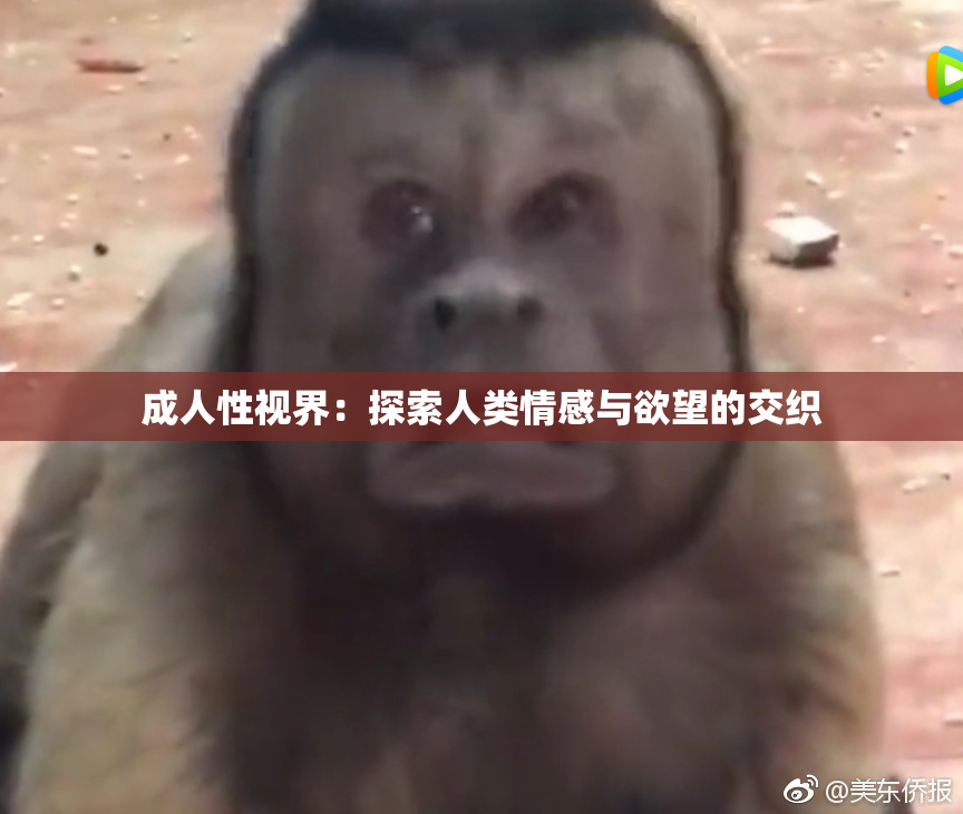 成人性视界：探索人类情感与欲望的交织