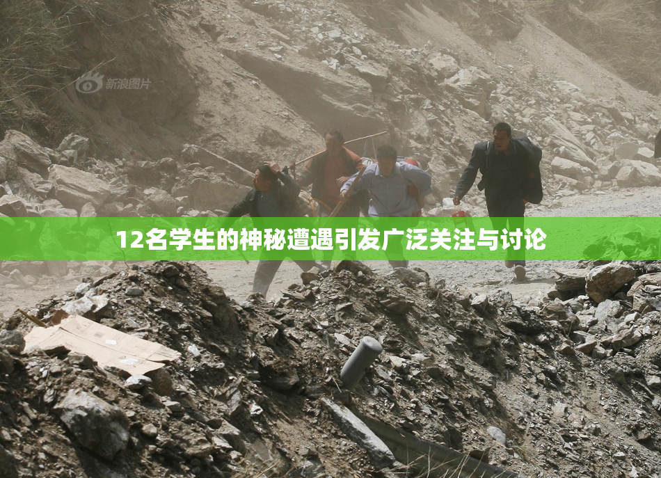 12名学生的神秘遭遇引发广泛关注与讨论