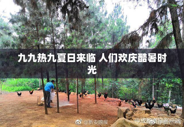 九九热九夏日来临 人们欢庆酷暑时光