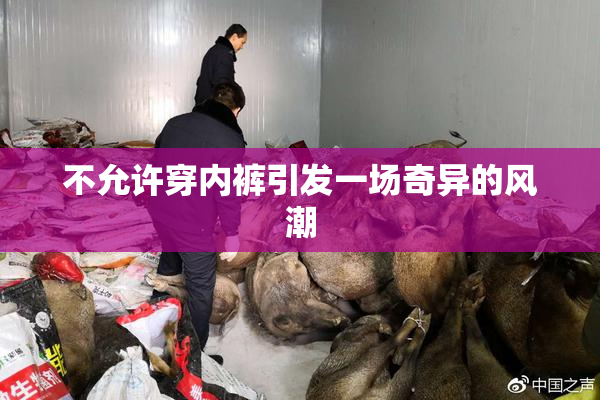 不允许穿内裤引发一场奇异的风潮