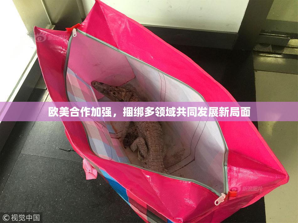 欧美合作加强，捆绑多领域共同发展新局面